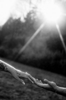 _DSC4779